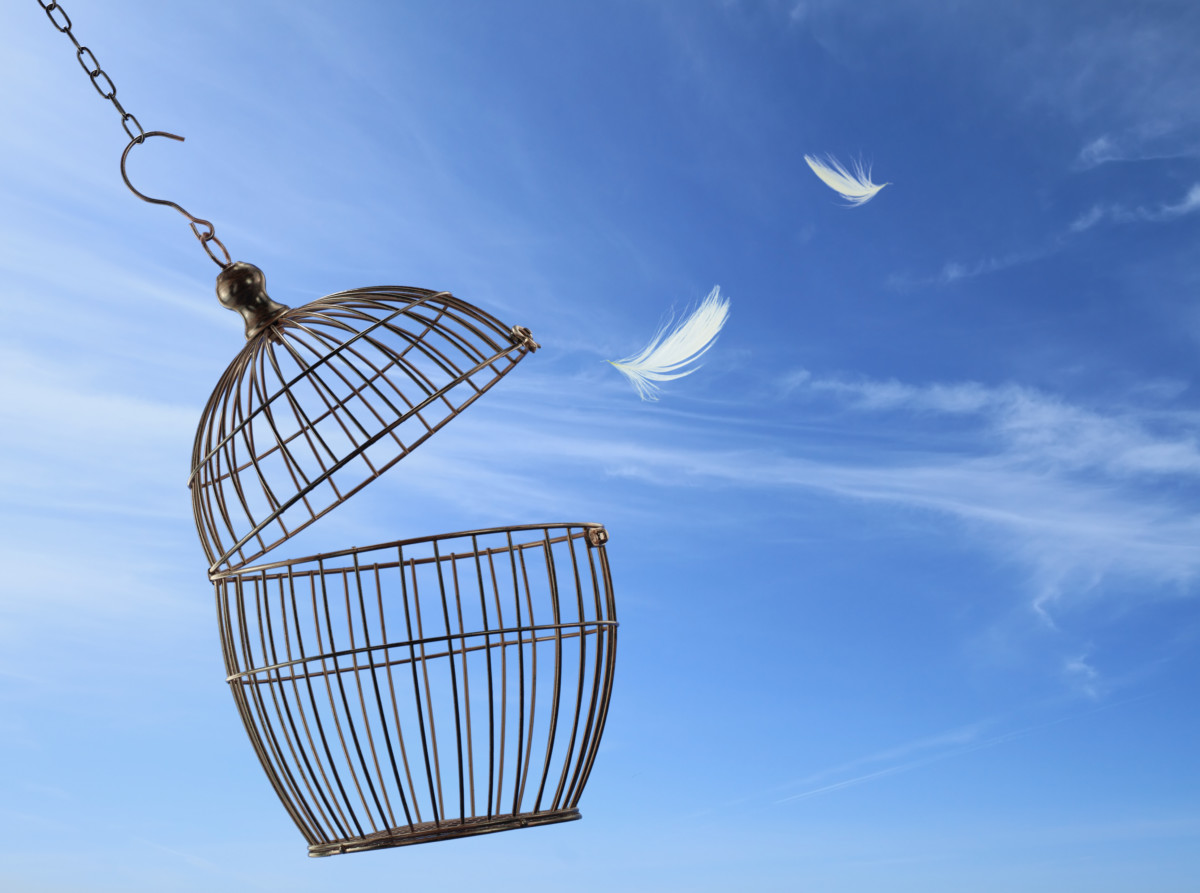 Open bird cage with feathers flying out in front a blue sky